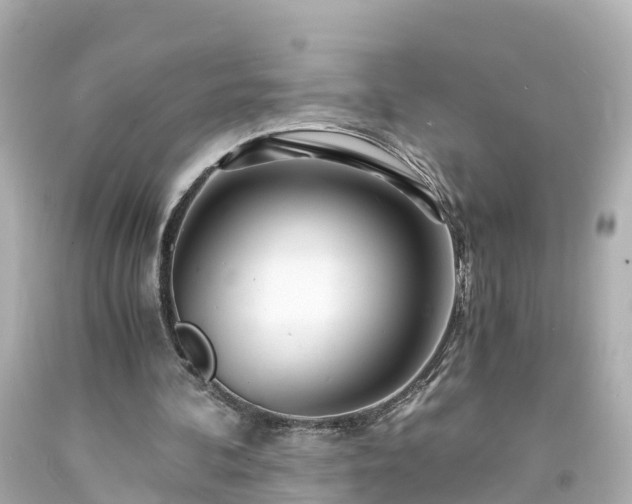 X0000094200292200711021059