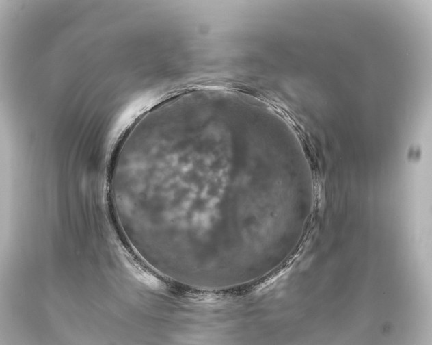 X0000094200293200711021059