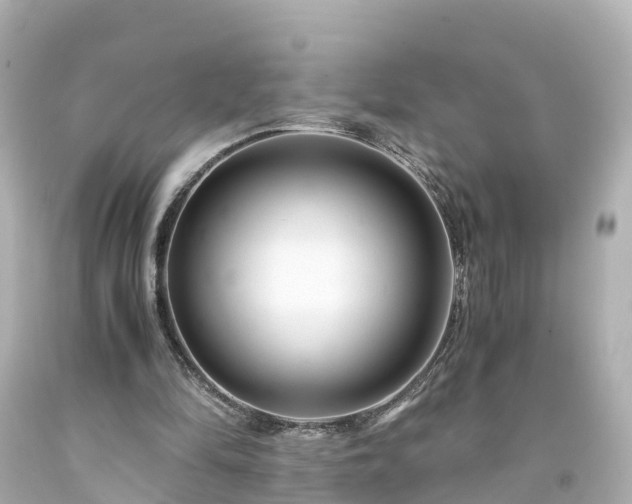 X0000094200294200711021058