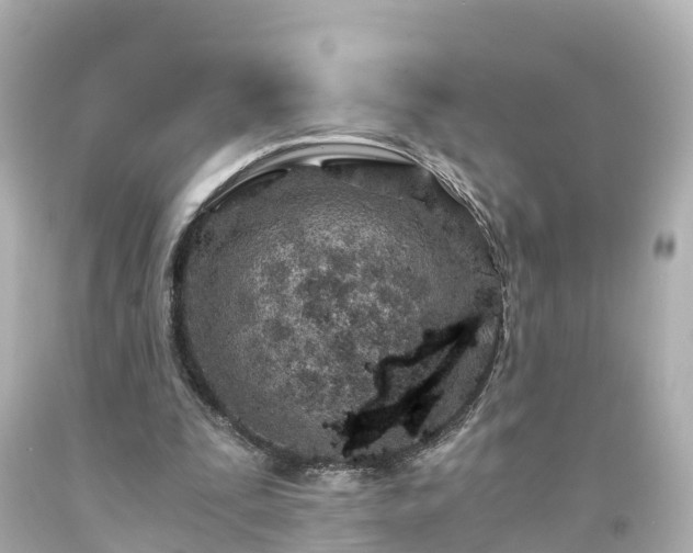 X0000094200295200711021058