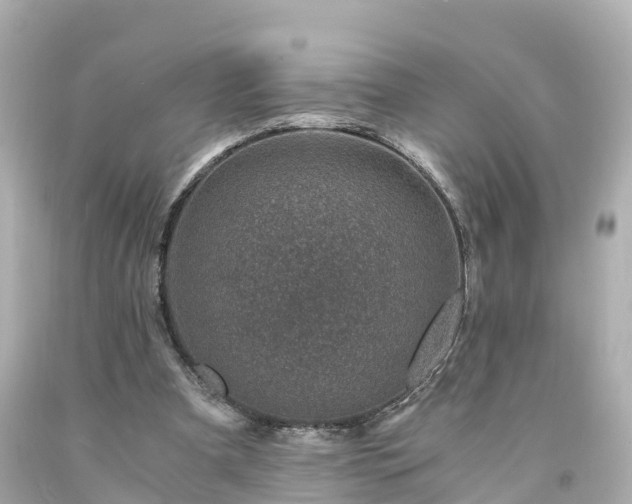 X0000094200297200711021058