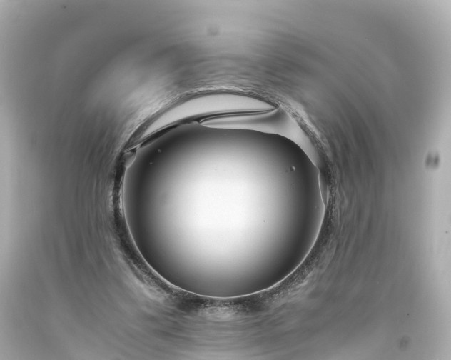 X0000094200299200711021058