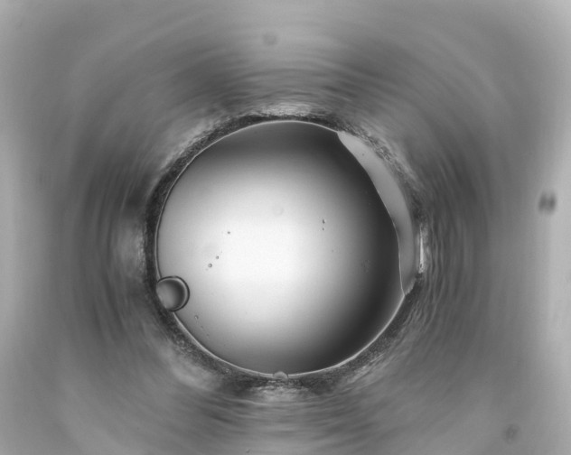 X0000094200300200711021058