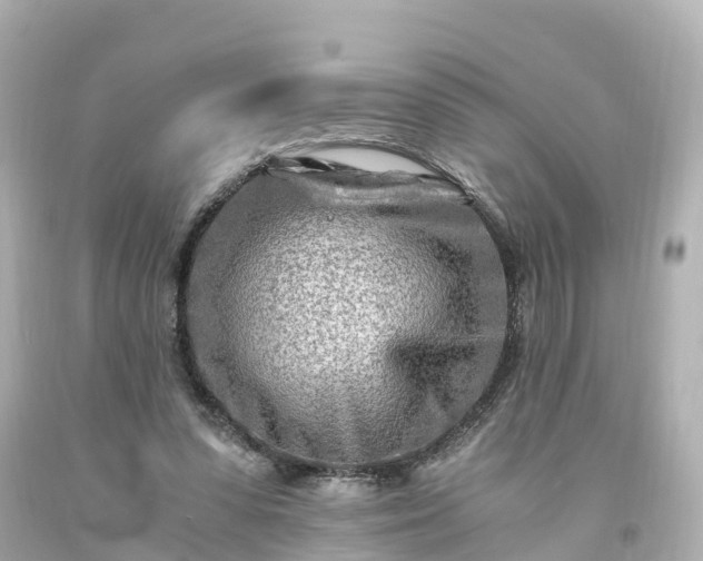 X0000094200303200711021058