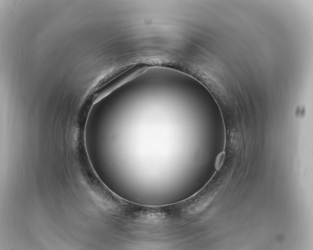 X0000094200304200711021058