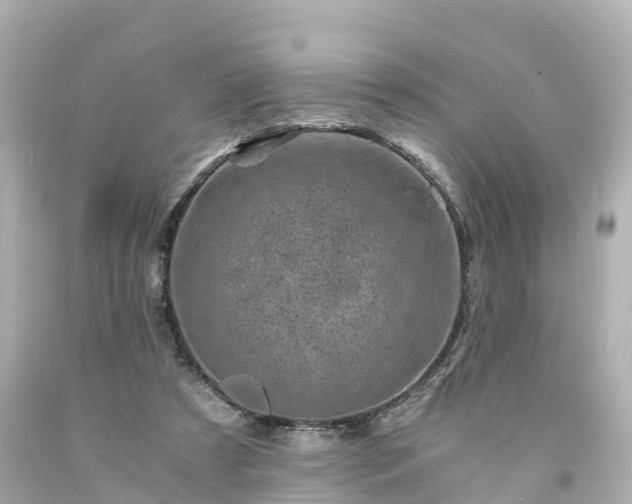 X0000094200305200711021058