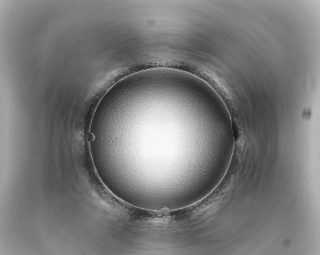 X0000094200306200711021058