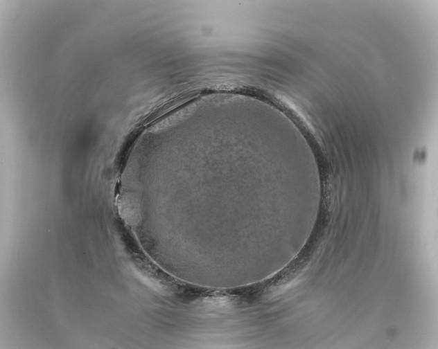 X0000094200307200711021058