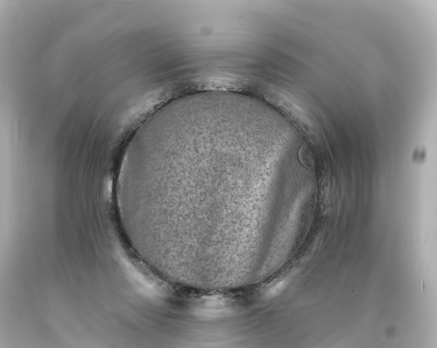 X0000094200310200711021058