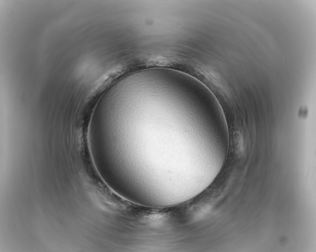 X0000094200312200711021058