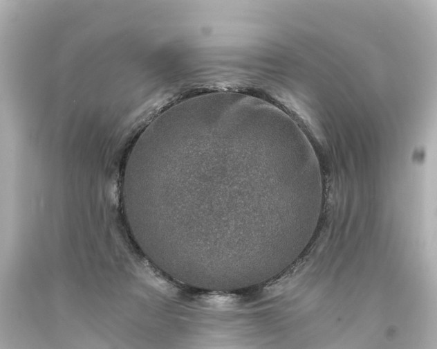 X0000094200313200711021058