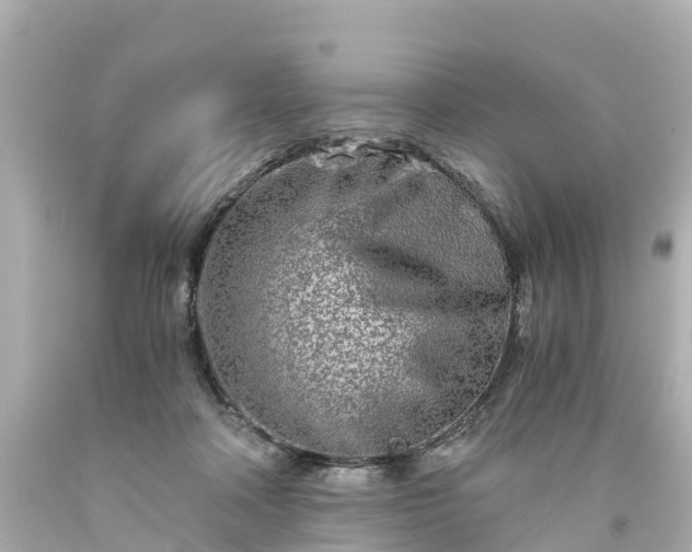 X0000094200314200711021058