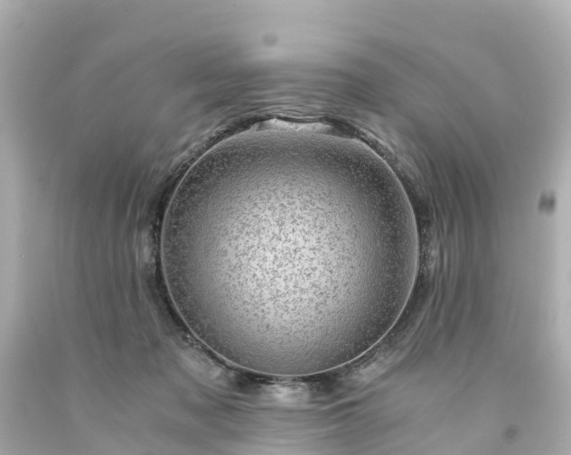 X0000094200317200711021058