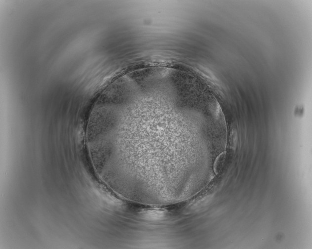 X0000094200318200711021058