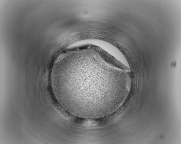 X0000094200319200711021058