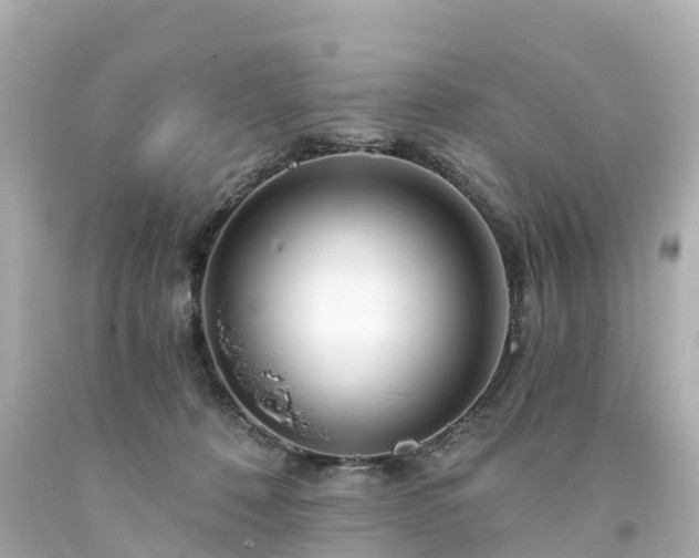 X0000094200320200711021058