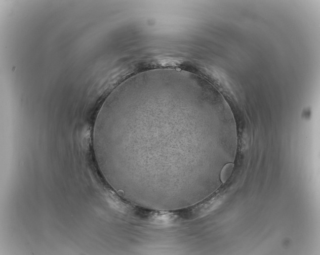 X0000094200321200711021058