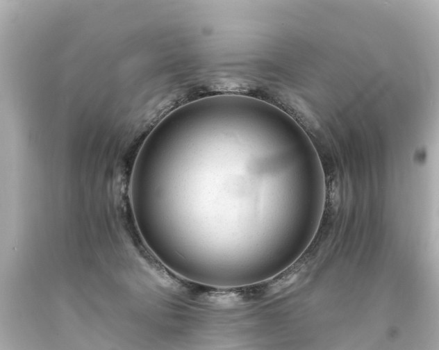 X0000094200322200711021058