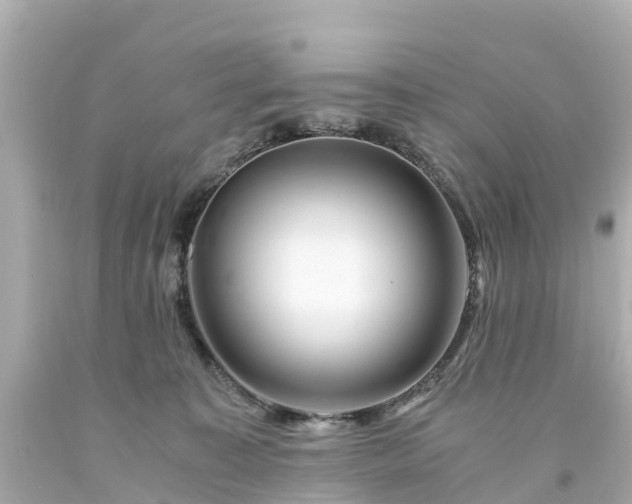 X0000094200323200711021058