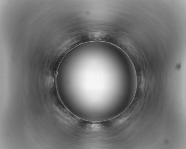 X0000094200324200711021058