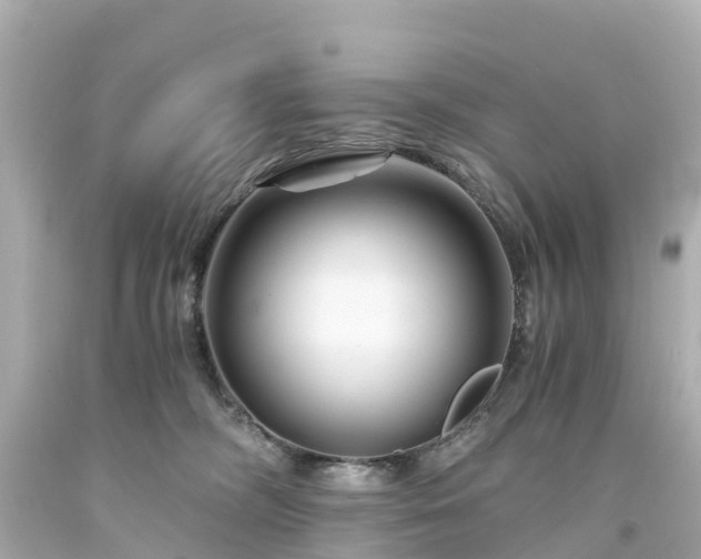 X0000094200326200711021058