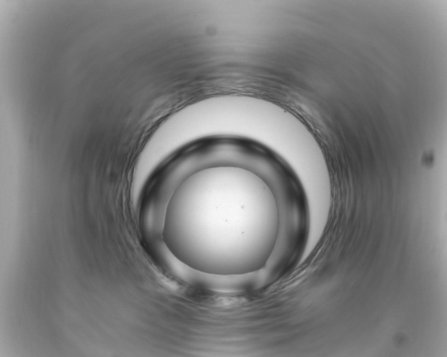 X0000094200333200711021058