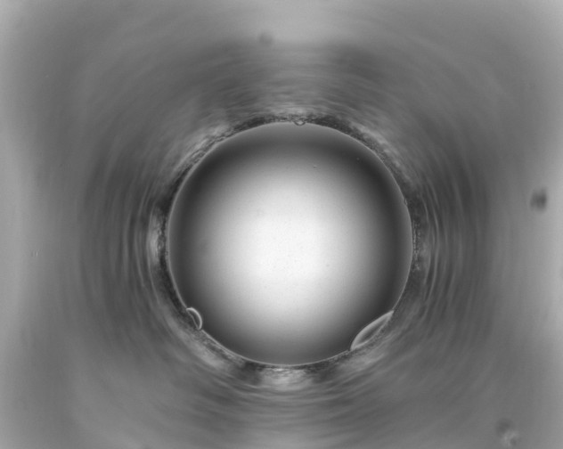 X0000094200334200711021058