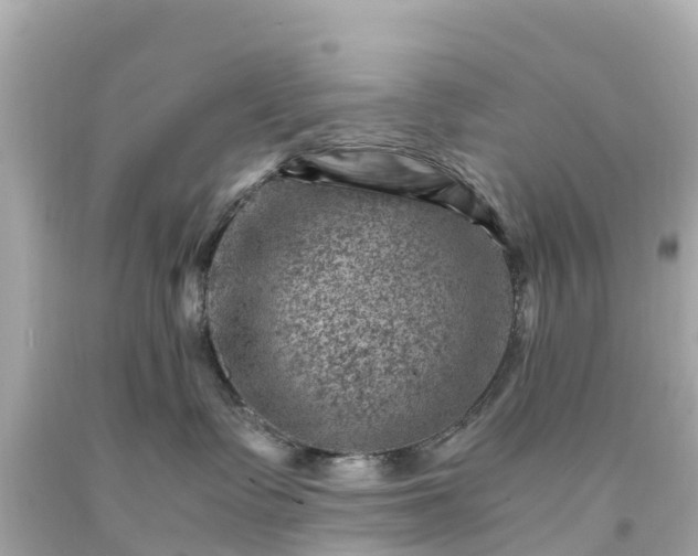 X0000094200335200711021058