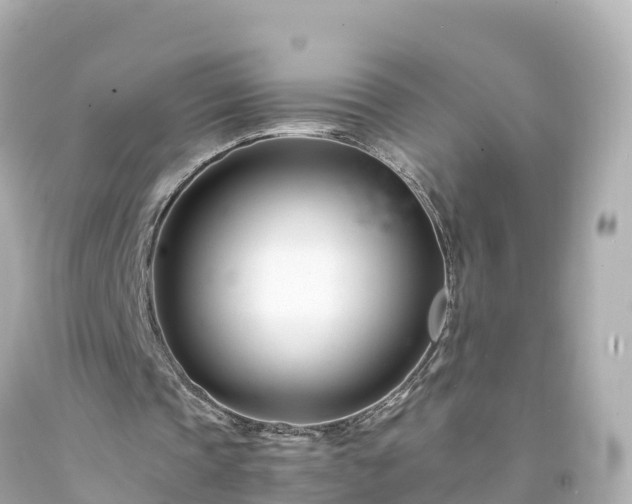 X0000094200337200711021057