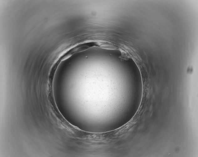 X0000094200338200711021057
