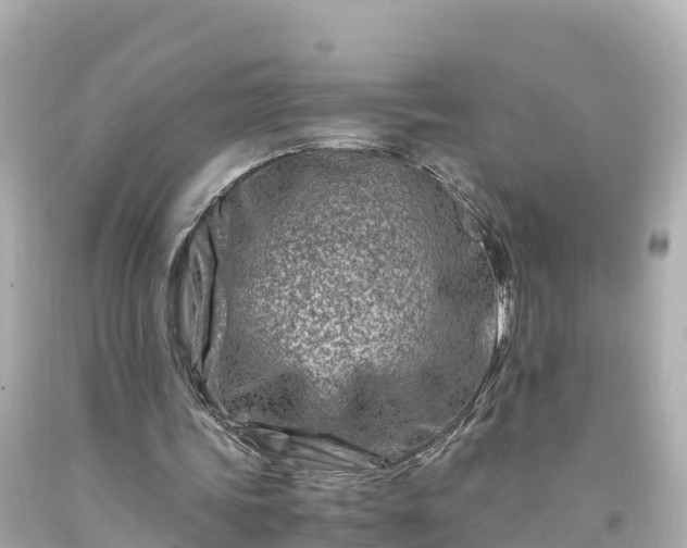 X0000094200339200711021057