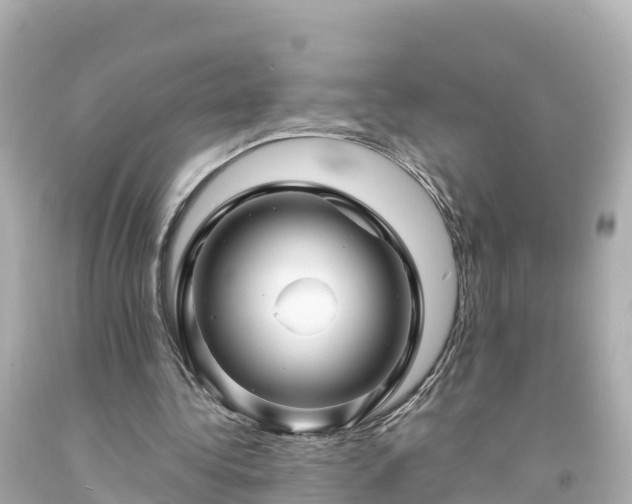 X0000094200340200711021057