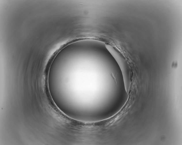 X0000094200342200711021057