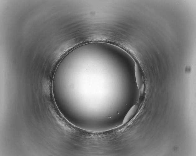 X0000094200345200711021057