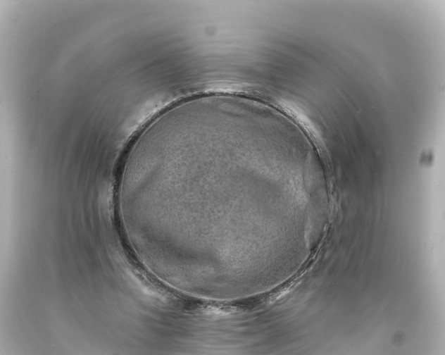X0000094200346200711021057