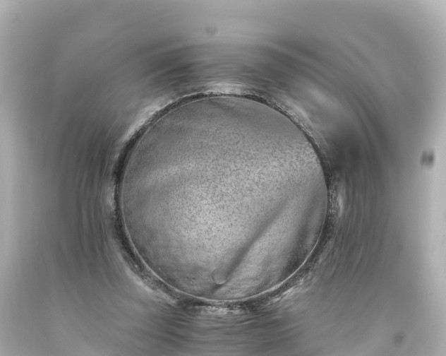 X0000094200347200711021057