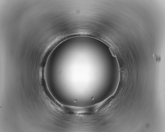 X0000094200350200711021057