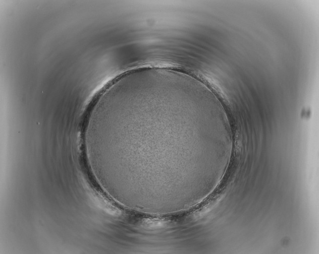 X0000094200351200711021057