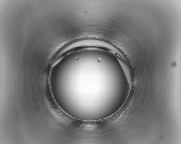 X0000094200352200711021057