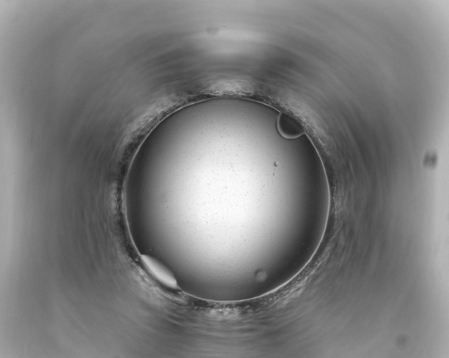 X0000094200353200711021057