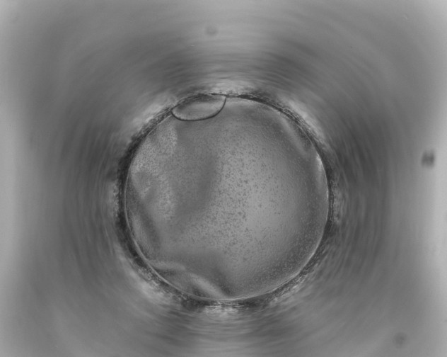 X0000094200354200711021057