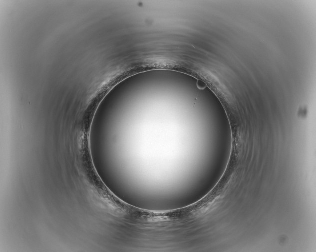 X0000094200355200711021057