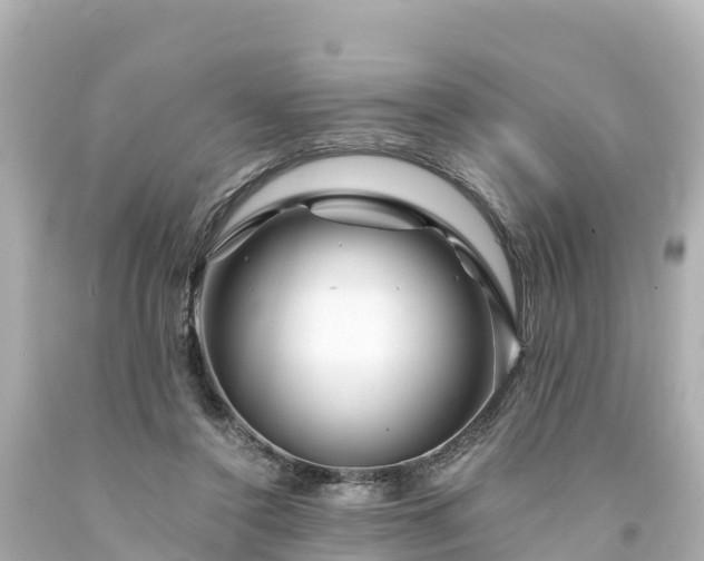 X0000094200356200711021057