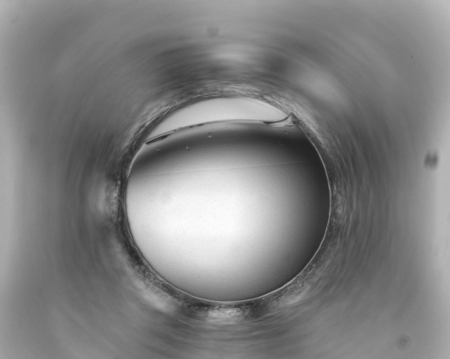 X0000094200357200711021057