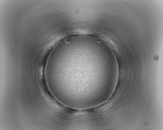 X0000094200358200711021057