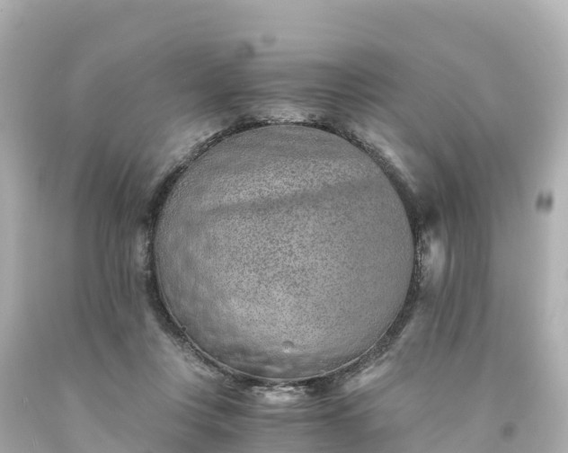 X0000094200359200711021057