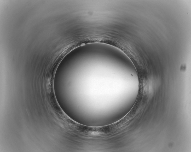 X0000094200360200711021057