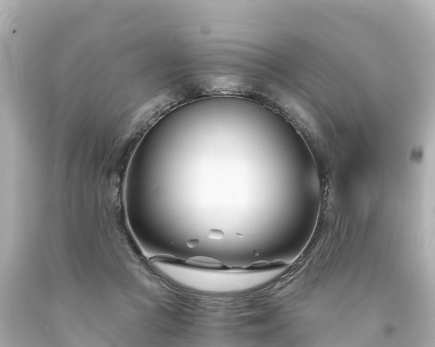 X0000094200361200711021057