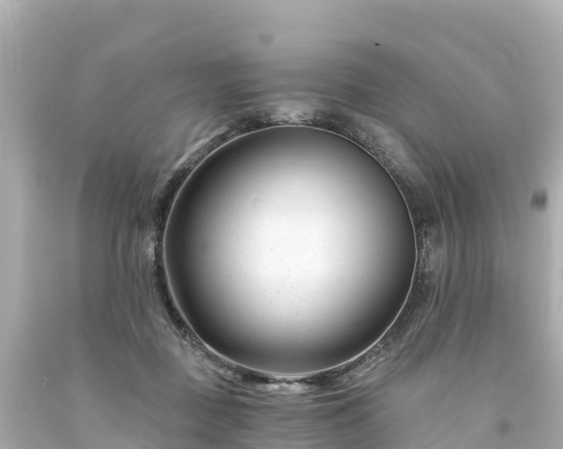 X0000094200363200711021057