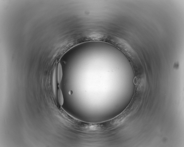 X0000094200365200711021057
